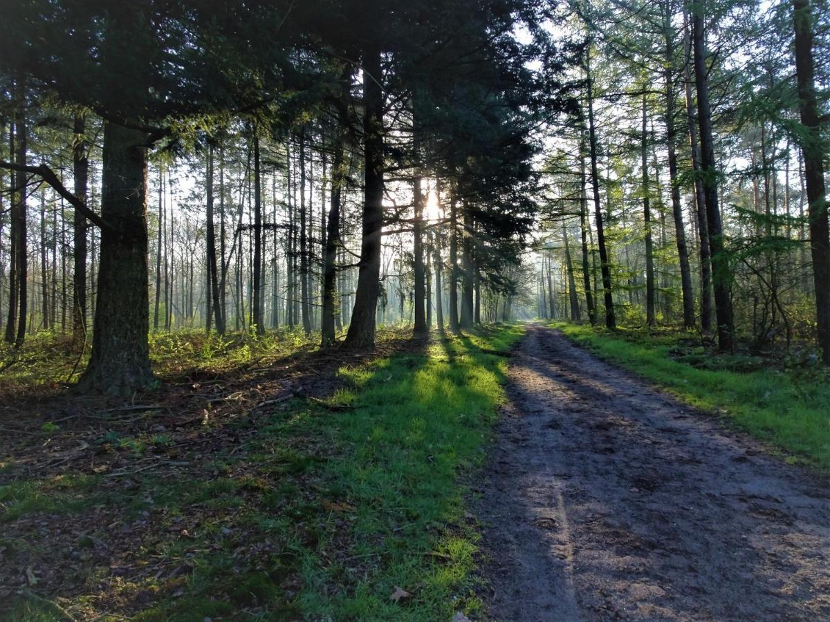 Veluwe Park Reewold Chalet Vision Putten Dış mekan fotoğraf