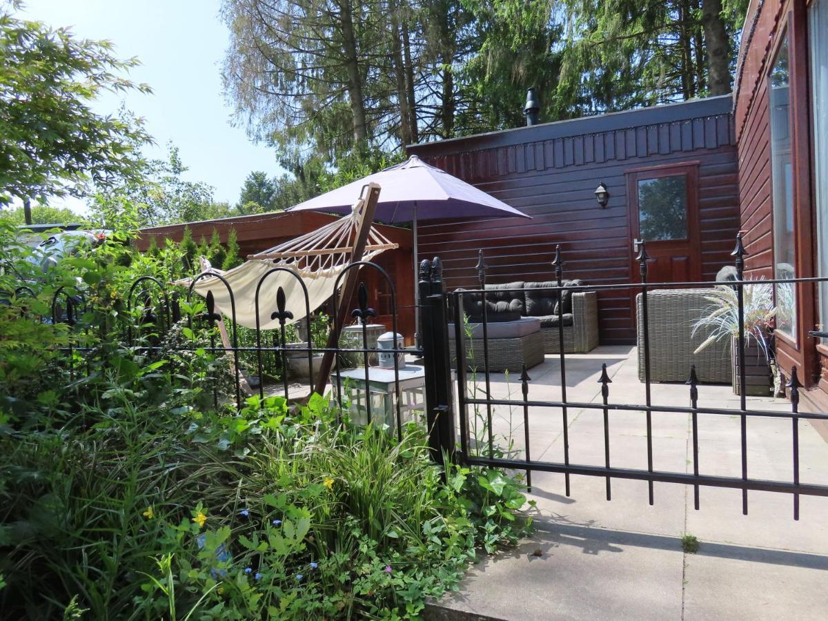 Veluwe Park Reewold Chalet Vision Putten Dış mekan fotoğraf